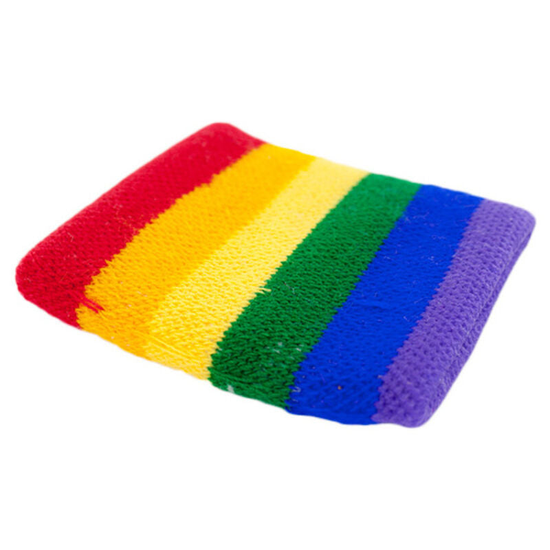 TROTS - LGBT VLAG ARMBANDEN
