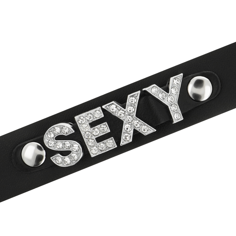 COQUETTE CHIC DESIRE - SEXY VEGAN LEREN CHOKER