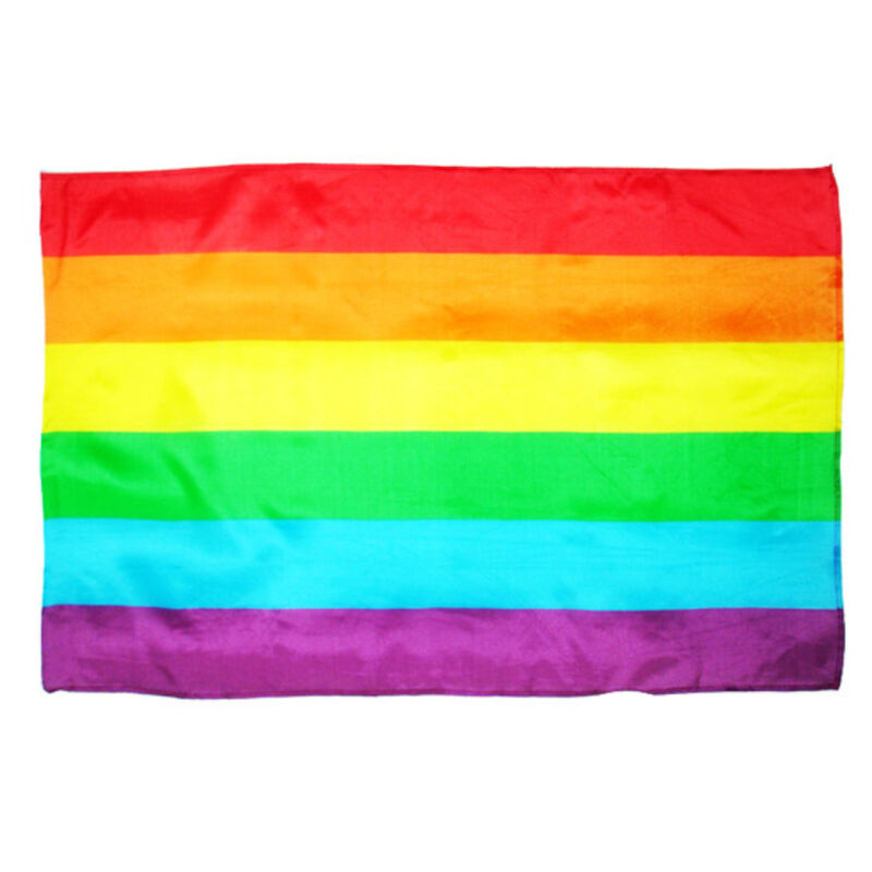 PRIDE - GROTE LHBT-VLAG