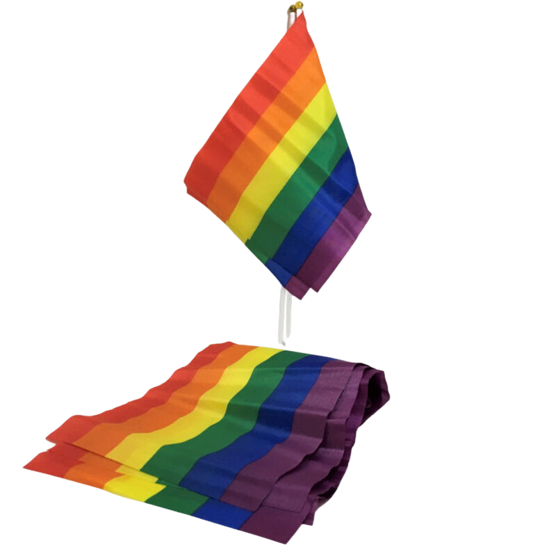 PRIDE - LHBT-VLAG KLEINE VLAG BANIER