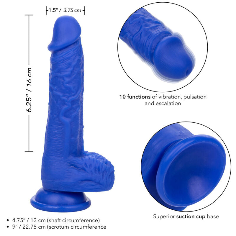 CALEXOTICS - ADMIRAL SAILOR REALISTISCHE DILDO VIBRATOR BLAUW