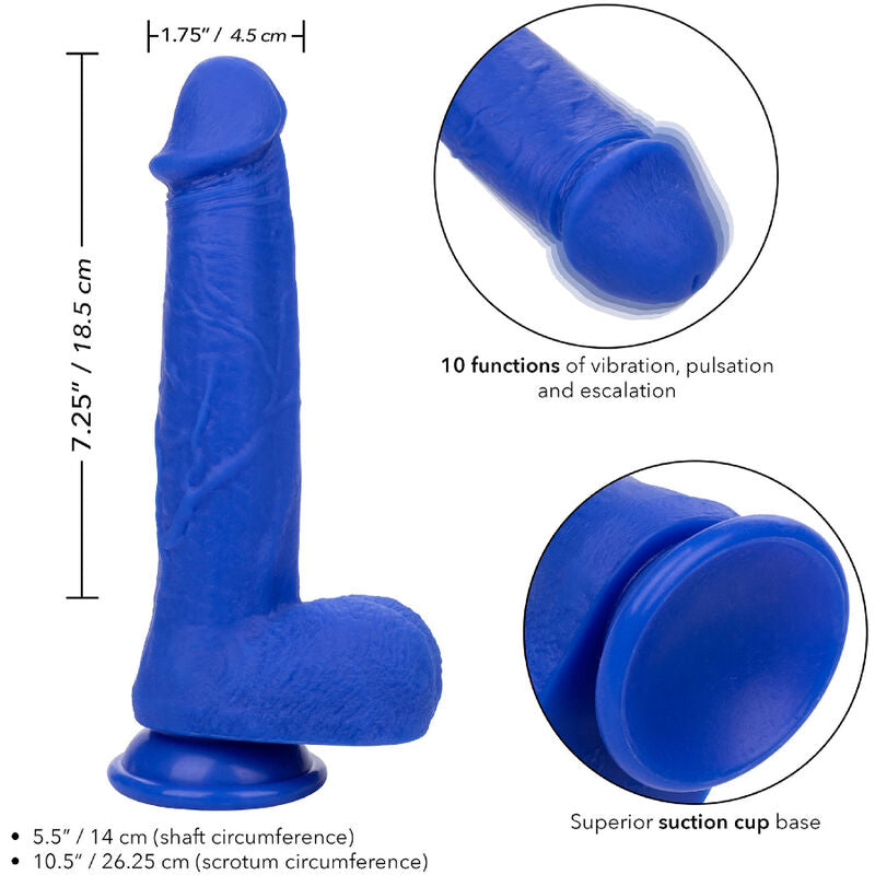CALEXOTICS - ADMIRAL CAPTAIN REALISTISCHE DILDO VIBRATOR BLAUW