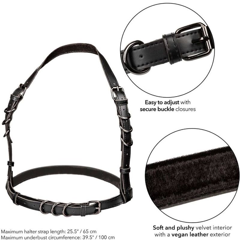 CALEXOTICS - EUPHORIA HALTER GESP HARNAS ZWART