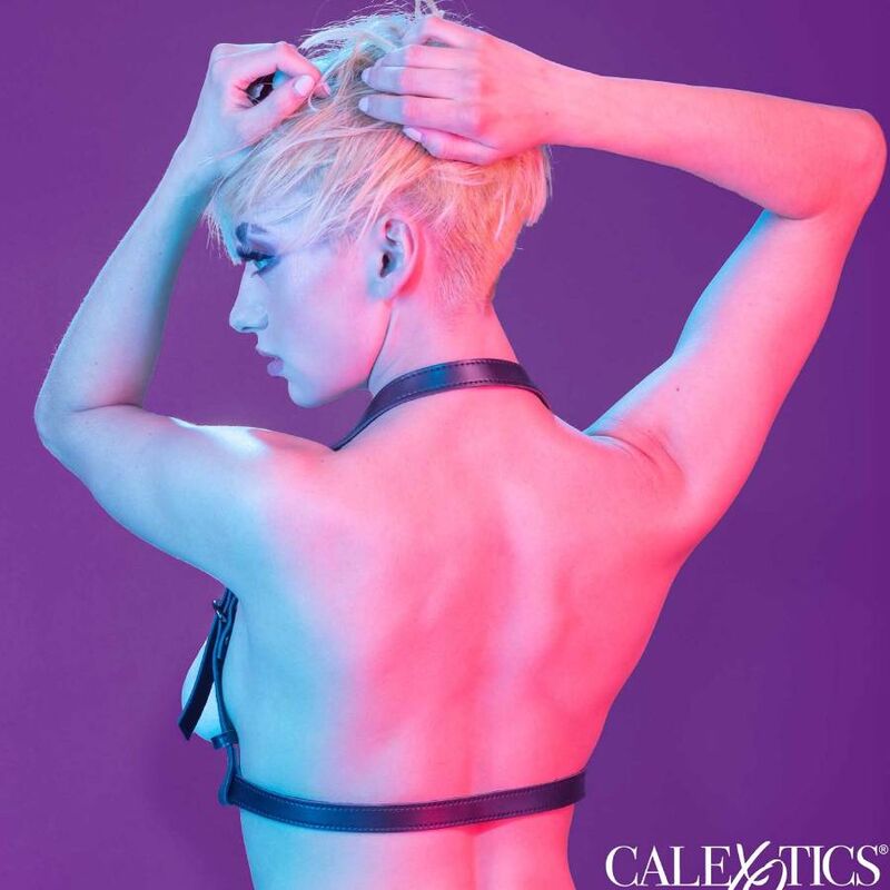 CALEXOTICS - EUPHORIA HALTER GESP HARNAS ZWART