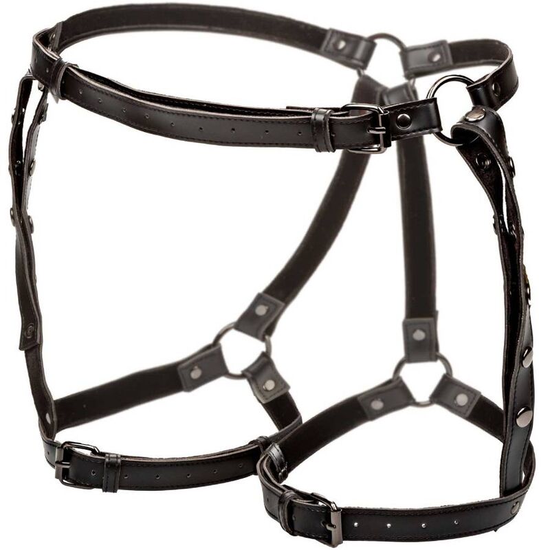 CALEXOTICS - EUPHORIA PLUS SIZE RIDING DIJHARNAS
