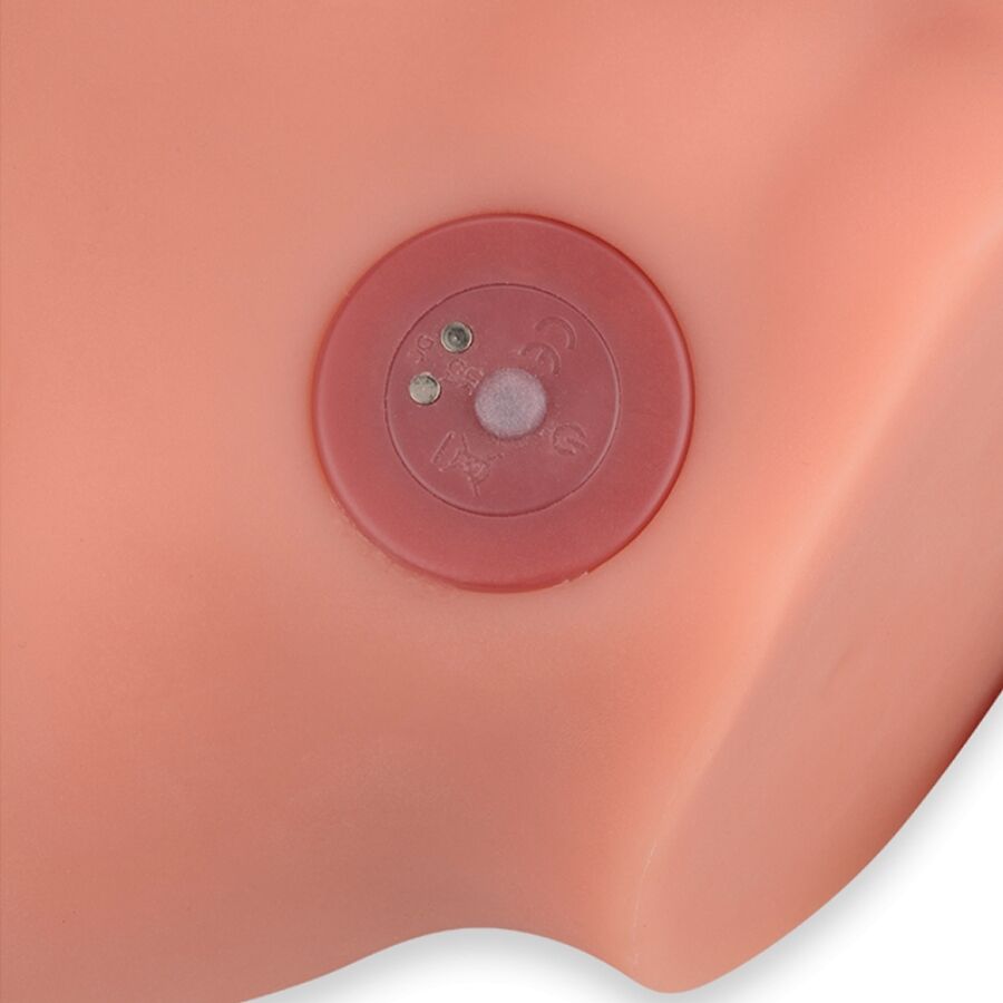 XISE - FREDERICO MASTURBADOR REALISTISCHE DILDO VOOROP MET STOTEN 15 CM