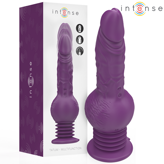 INTENSE - TATUM MULTIFUNCTIONELE VIBRATOR MET OP EN NEER VIBRATIE 24 CM PAARS
