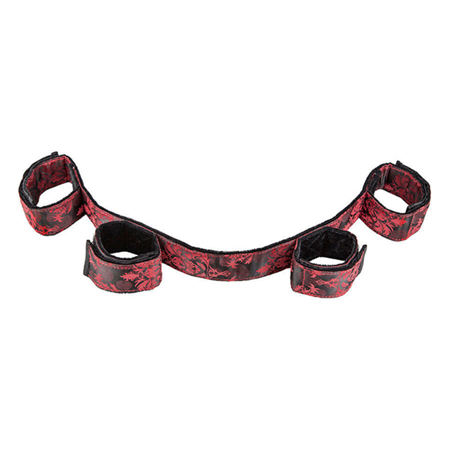 CALEXOTICS - SCANDAL BLACK SLAVERY STAAF