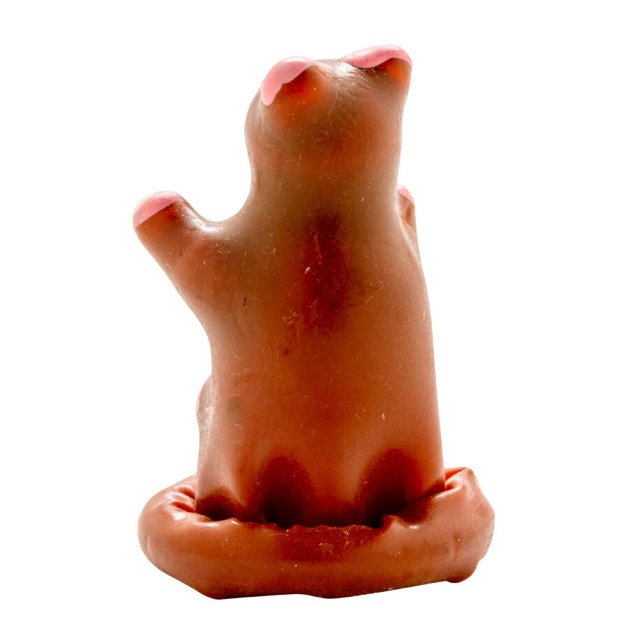 CONDOMERIE - HANDGESCHILDERDE FUN CONDOMS TEDDYBEER